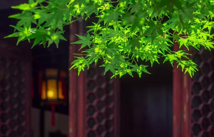 程振理的论语中的大智慧内容,士不可以不弘毅论语大智慧