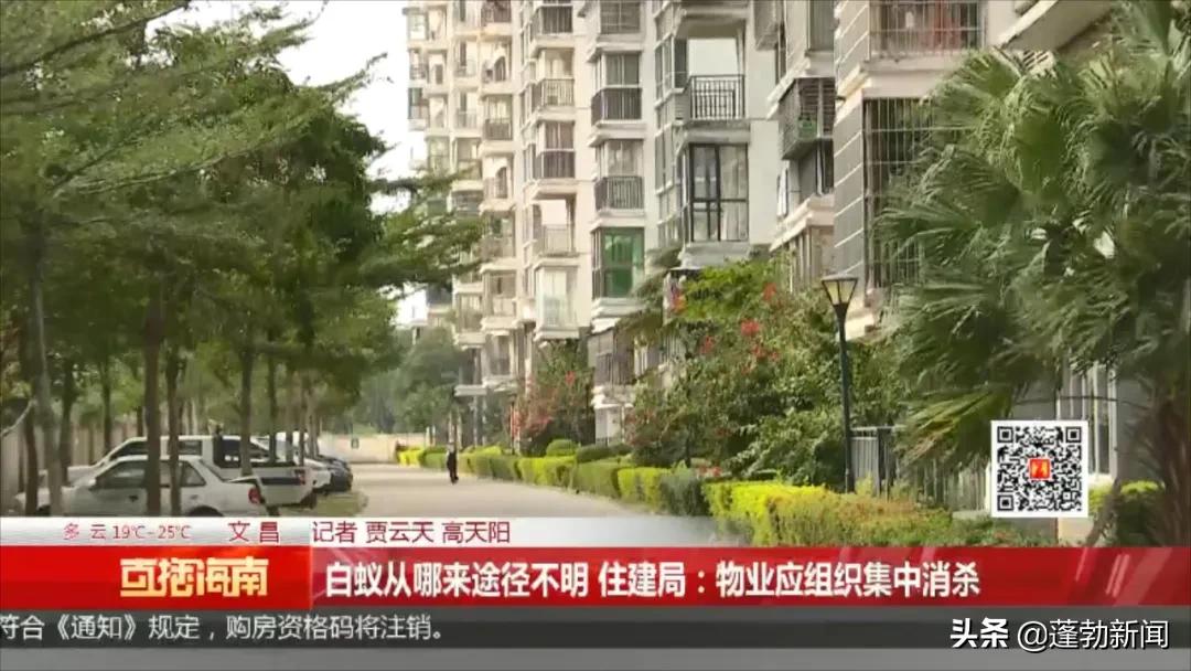 大量白蚁在家中筑巢啃噬家具，令人头皮发麻！如何防范看这里→