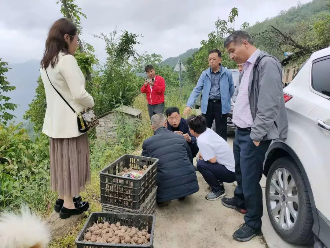 相聚仍是青年——记情系四中群友聚