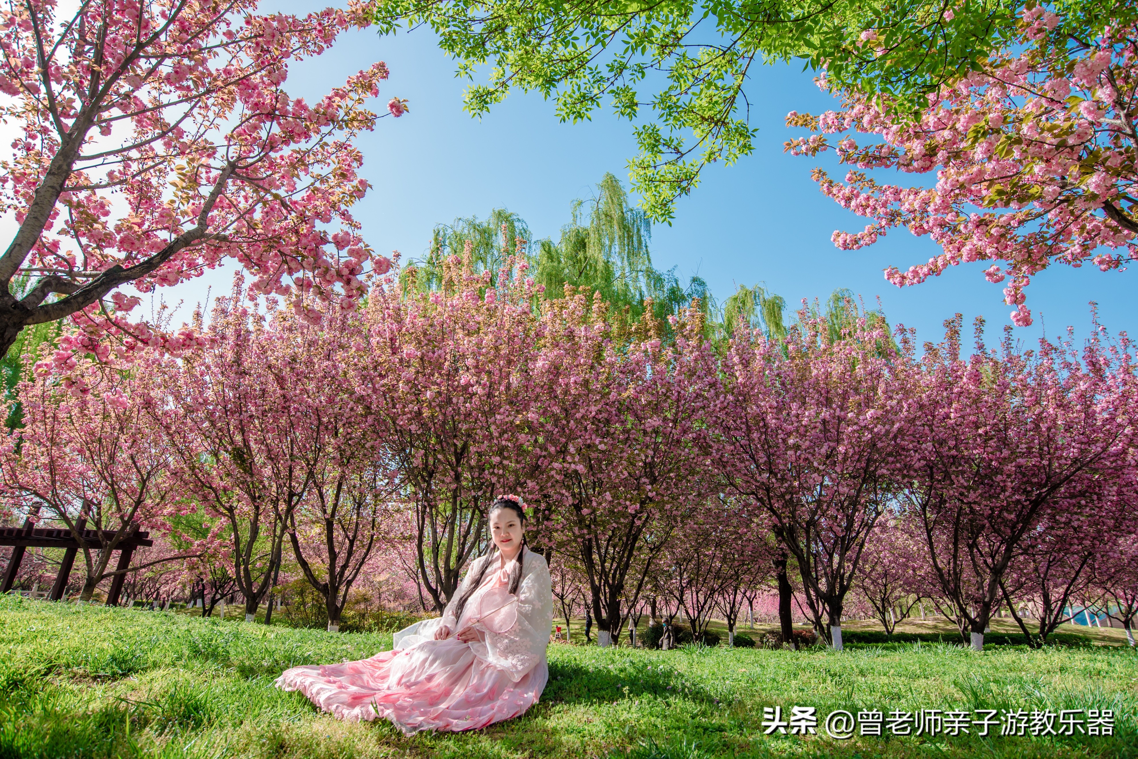 西安旅游攻略必去10个景点,西安旅游攻略必去景区