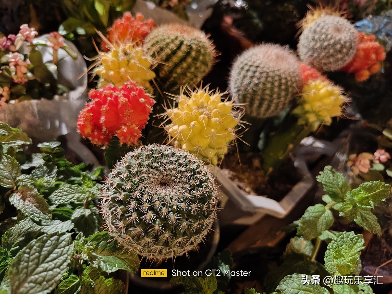 realme真我gtneo2t优缺点,真我realmegt2大师探索版