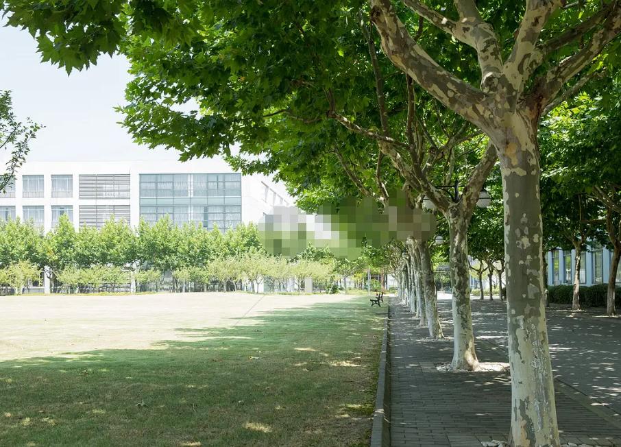 这是仙女老师，上课没有迟到和请假现象，学生的出勤率百分之百