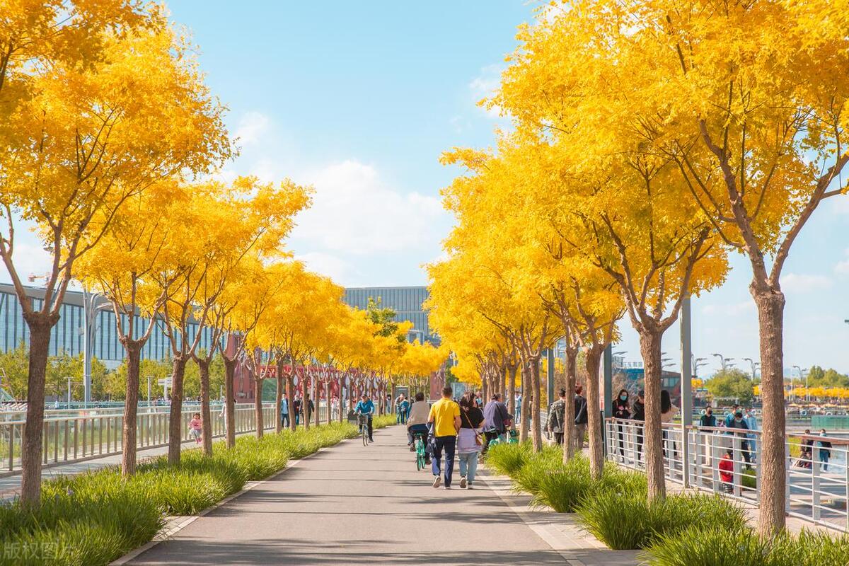 朝阳区文旅局,北京朝阳区文旅局电话