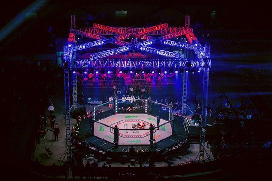 张伟丽格斗视频全集完整版,张伟丽是中国格斗第一人吗