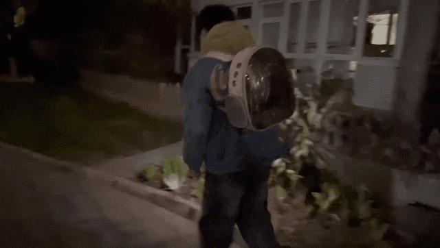 我的猫丢了拿回来要钱怎么办,我的猫丢了隐晦的意思