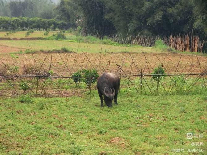 桂湘粤三省骑行交流,广西柳州三江自驾游视频