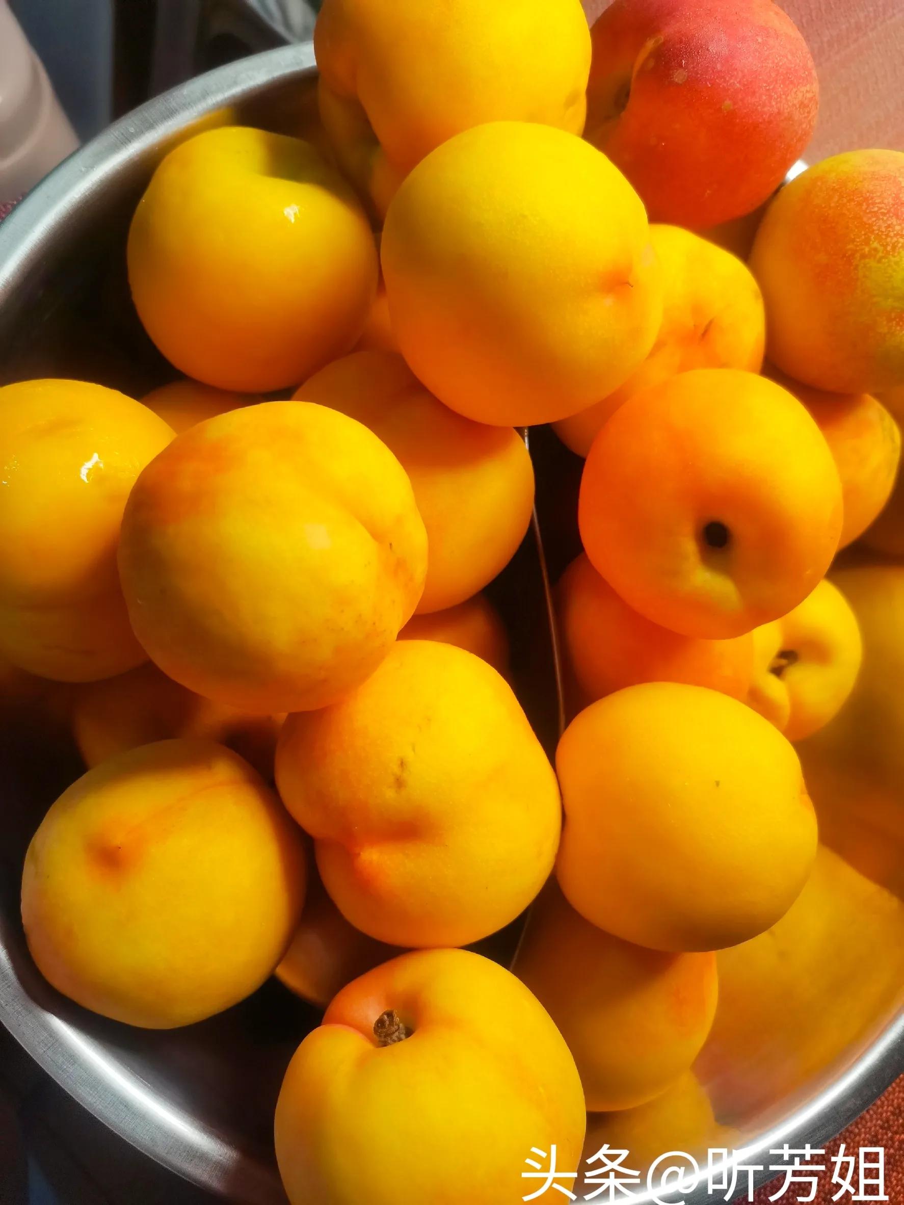 能治百病的黄桃罐头,黄桃罐头能治病吗