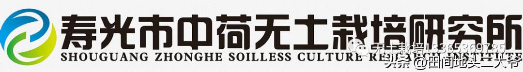 寿光中荷无土栽培基地,山东寿光中荷无土栽培