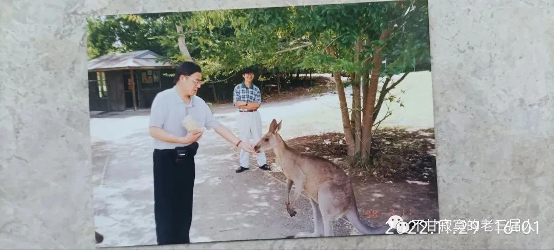 澳大利亚特有的珍奇动物是什么,澳大利亚的珍奇动物是