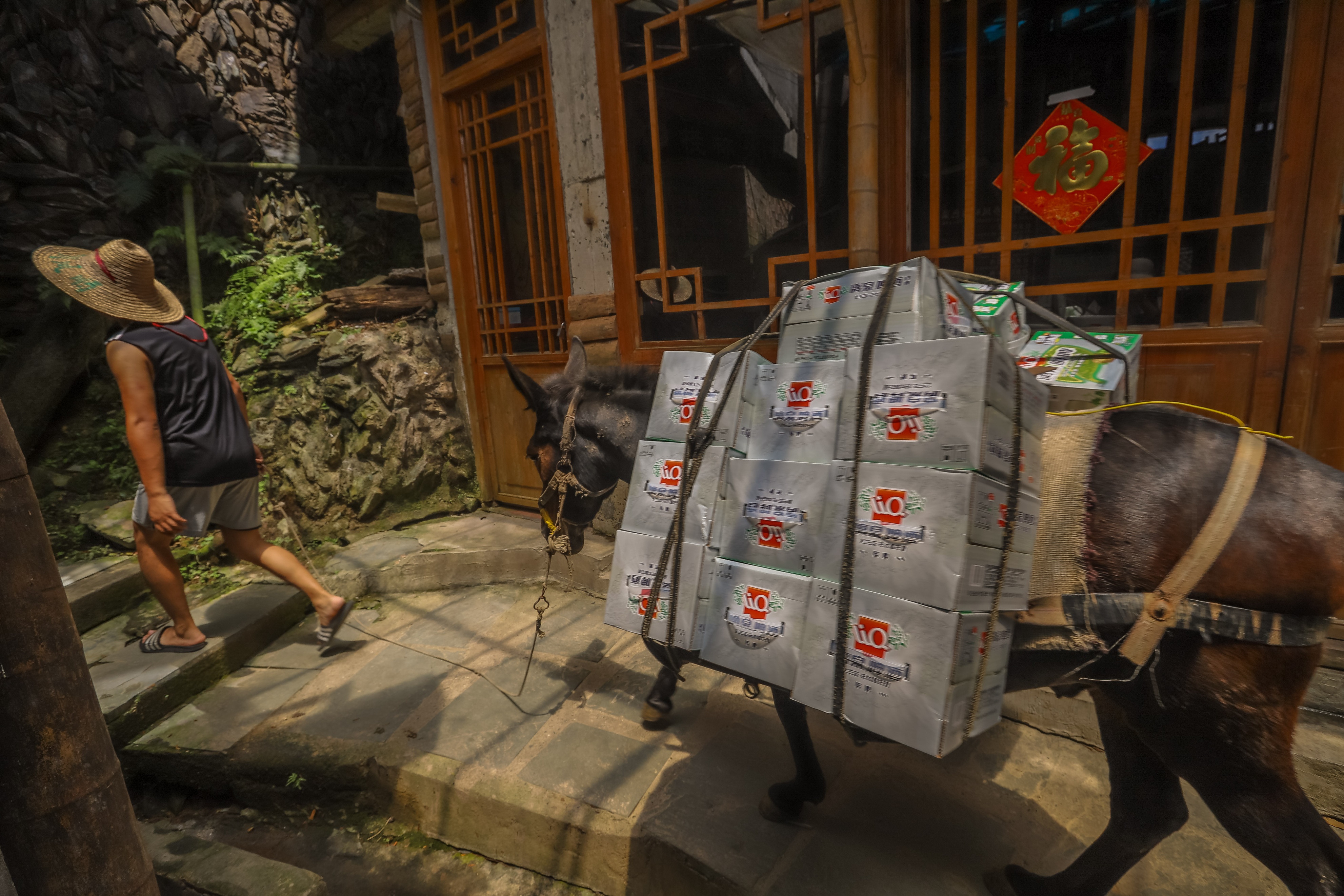 龙脊水稻梯田图片,龙脊水稻