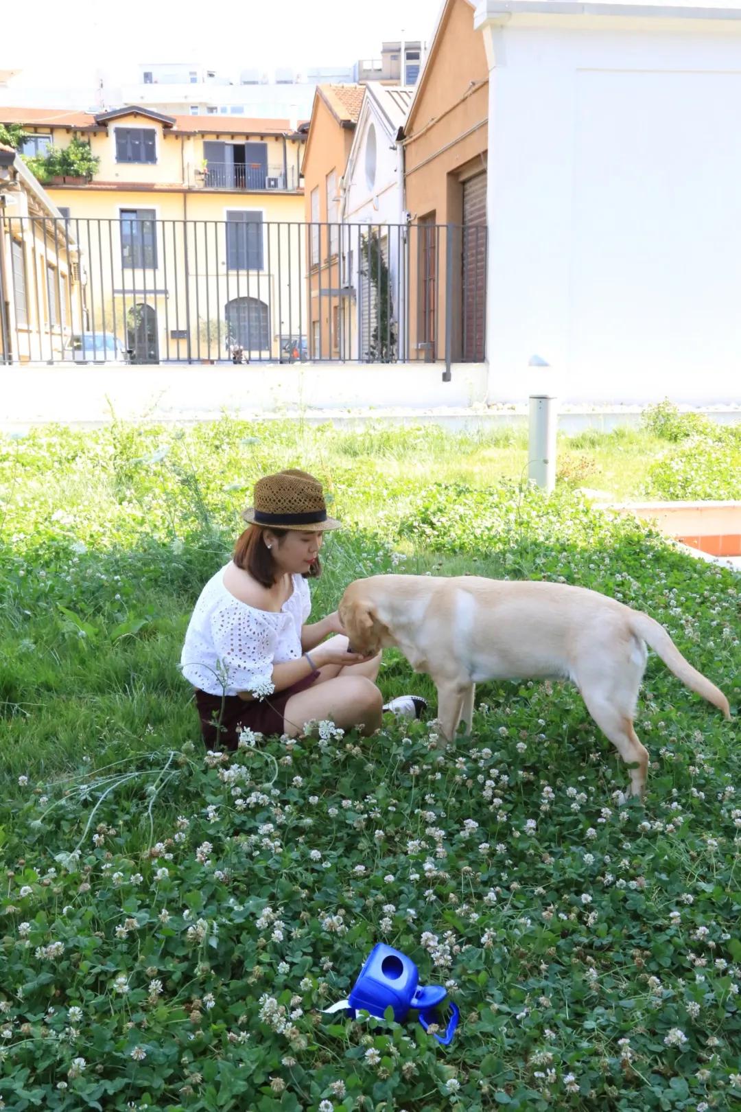 花3万元改造房子,情侣120平出租屋改造