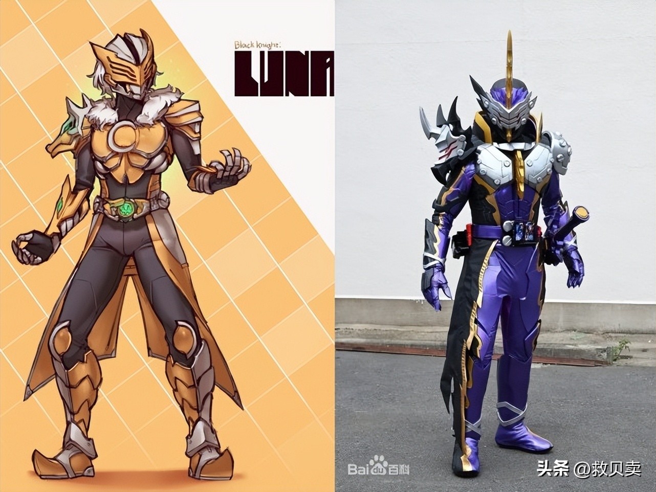 假面骑士新十年中的女骑士,假面骑士女骑同人