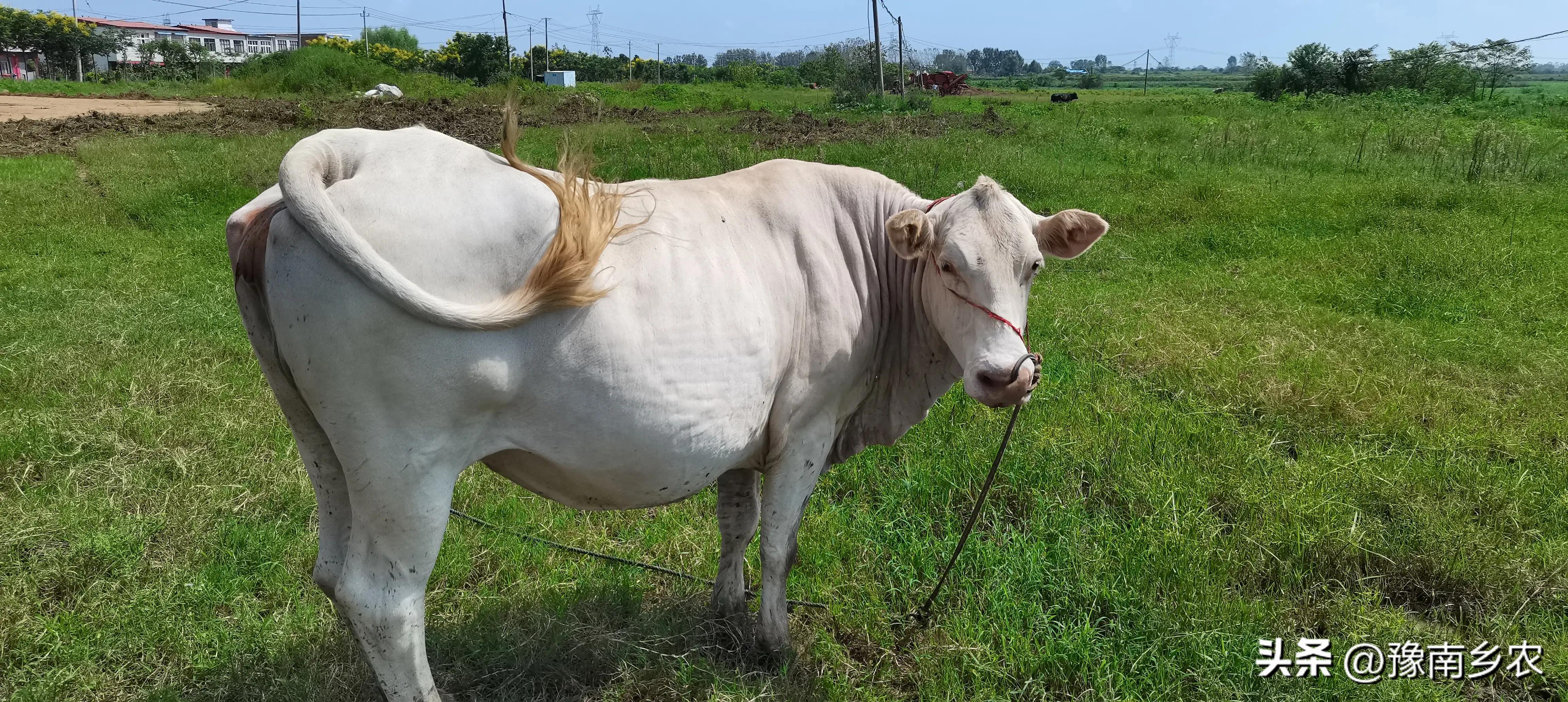 一场车祸彻底改变了我的人生轨迹,一场车祸让我失去了10年的记忆
