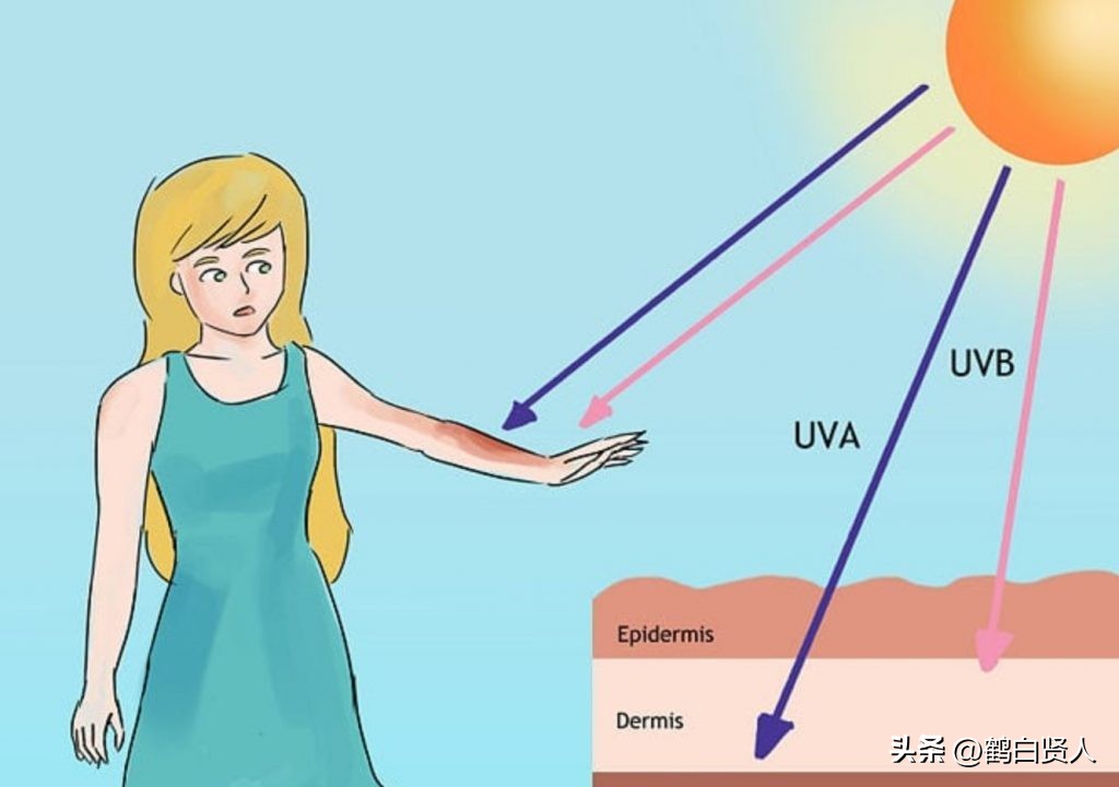 蓝藻的前世今生,蓝藻前世今生