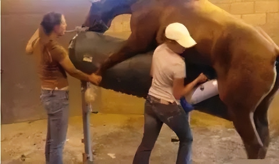 世界上最奇葩的三个职业,日本最奇葩的十大职业