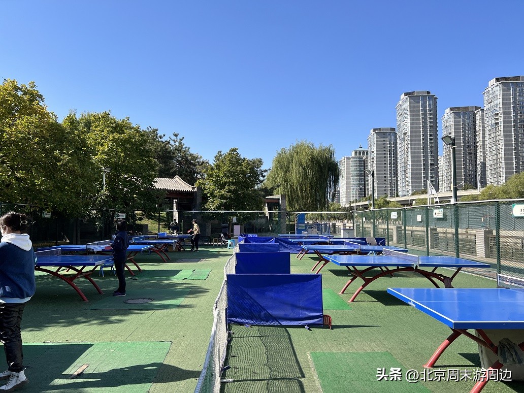 北京周末游周边——庆丰公园