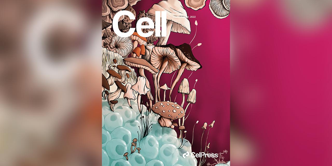 今日Cell三发：肿瘤里的真菌拟杆菌破坏的黏液层