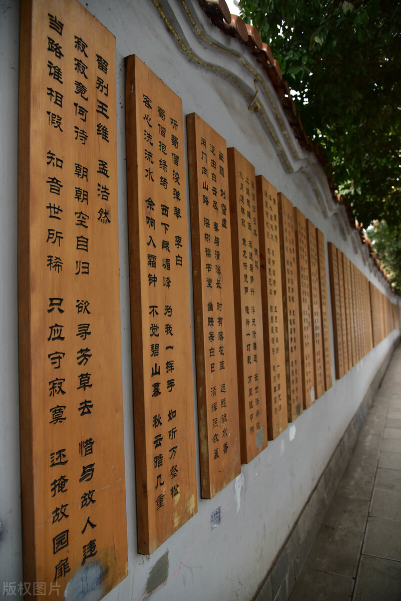 刻意标榜韵律的诗未必是好诗.贾锡信谈如何看待诗词韵律