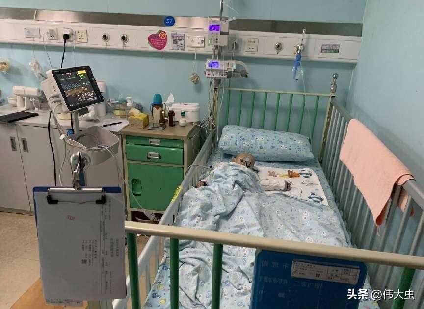 神母七玥宝宝抗瘤日记（十一）板低返院·病危治肝