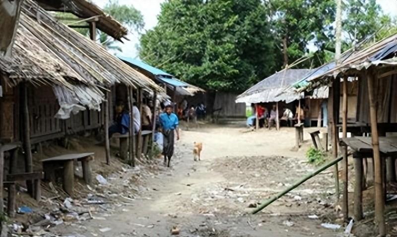 百万网红雅典娜现身缅北训狗营,缅北训狗场被救女孩真实采访