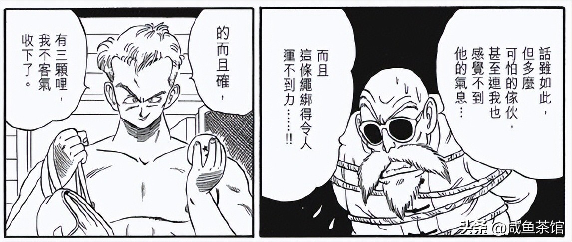 龙珠中十大最强地球人,龙珠里真正地球人战力排行