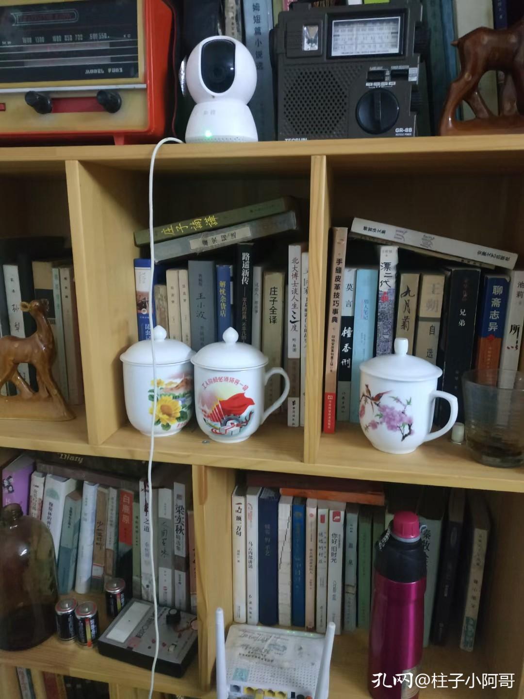 为生计奔波,为生计东奔西走