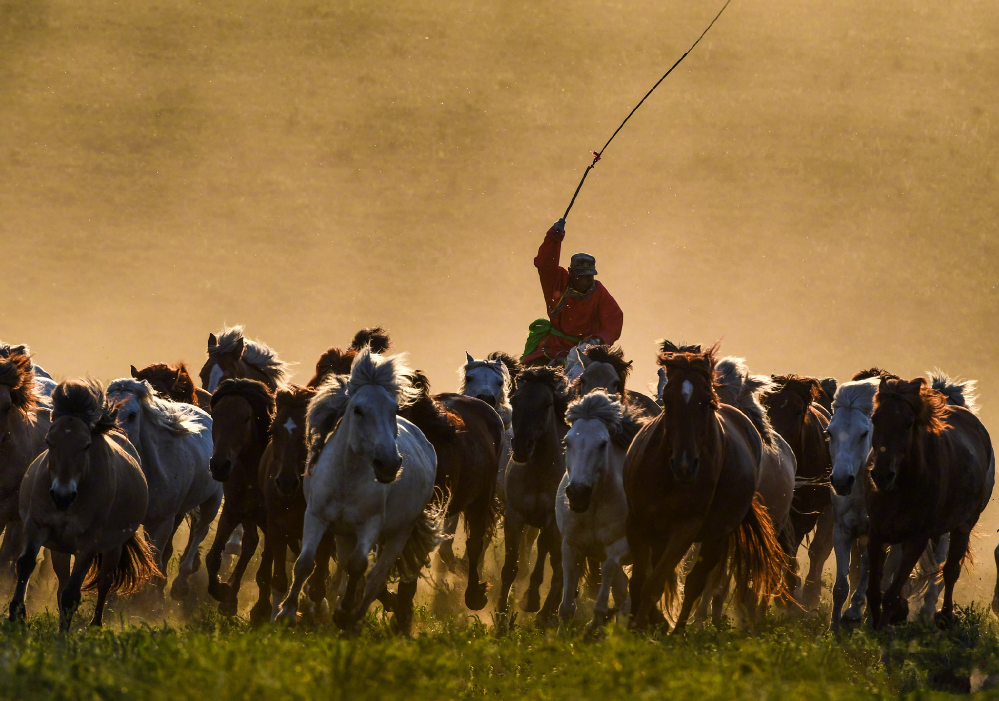 蒙古国的历史与现状,蒙古国真实的状况
