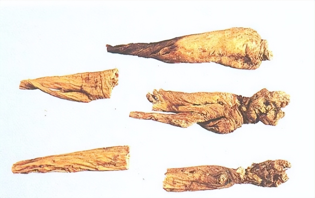 认识红参,带你认识红木