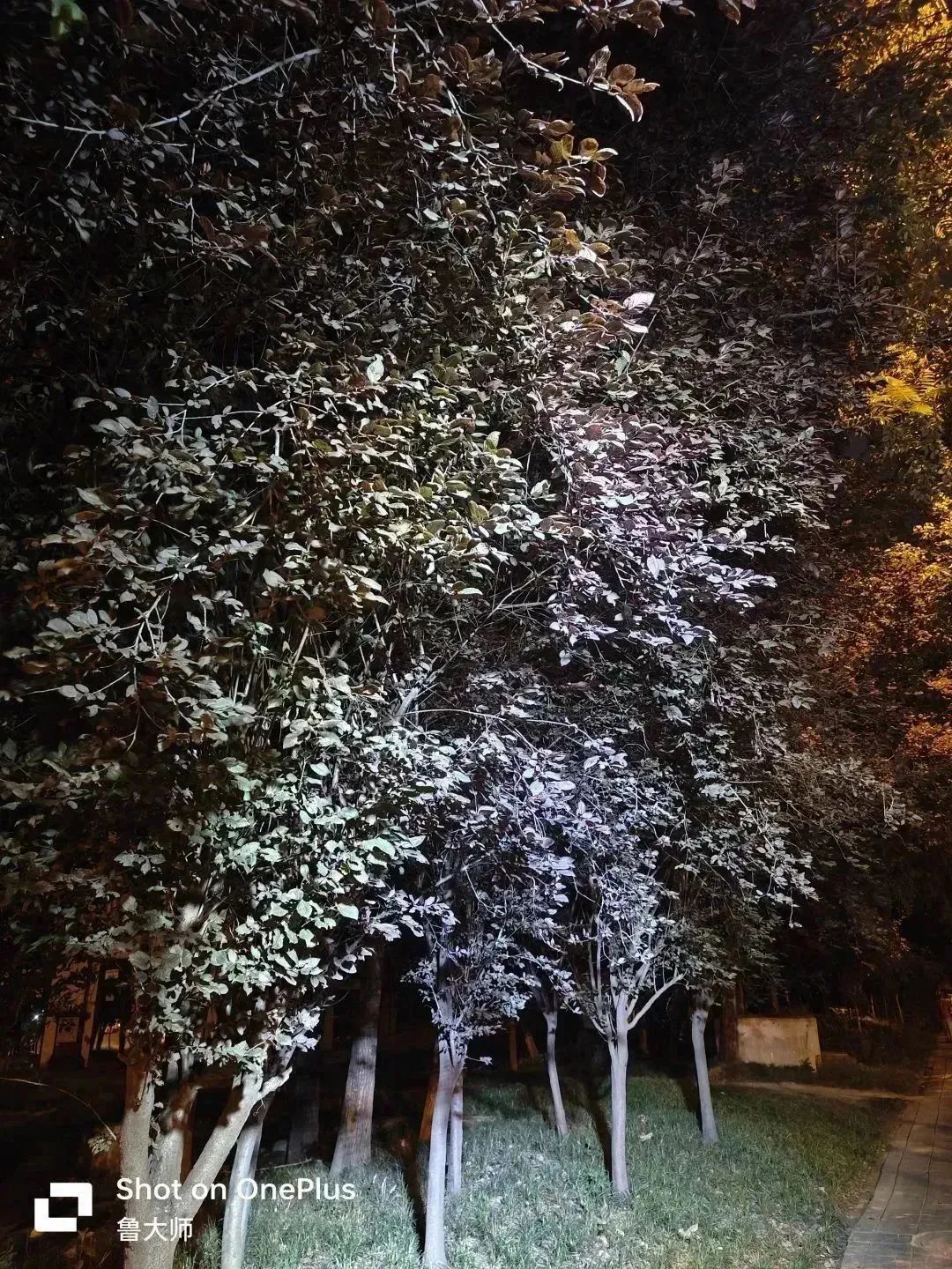 一加ace2pro深度评测,一加Ace2Pro评测视频