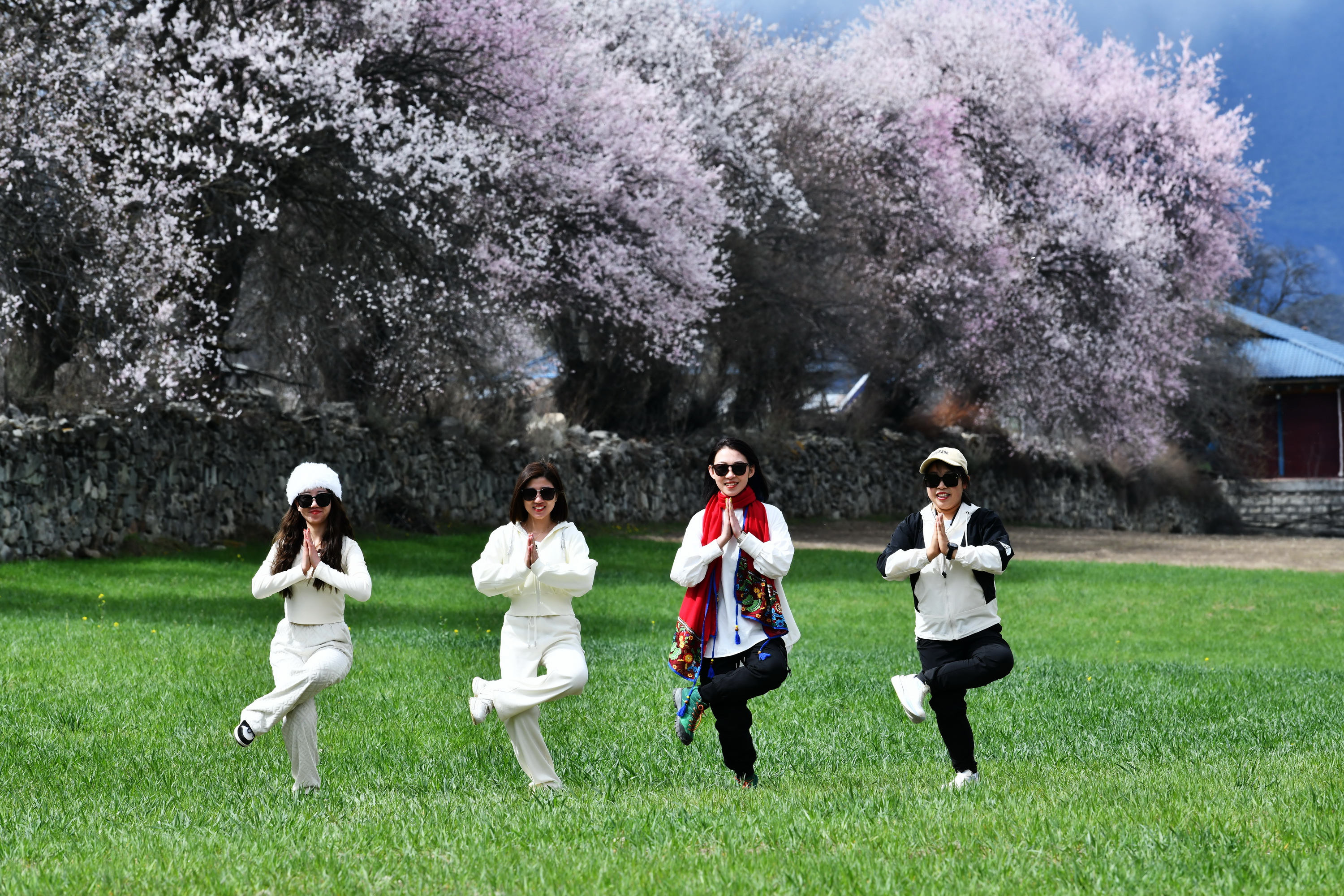 雪域林芝桃花图片 (在雪域江南西藏林芝邂逅漫山桃花)