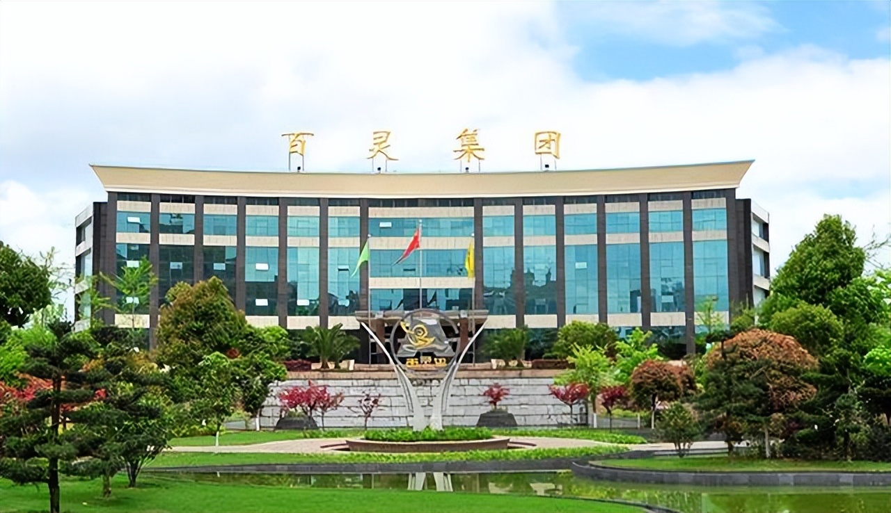 贵州百灵老板,安顺百灵集团老板