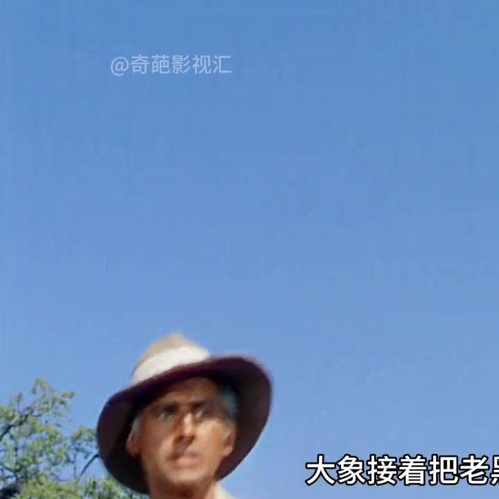 危险的非洲探险之旅#大象