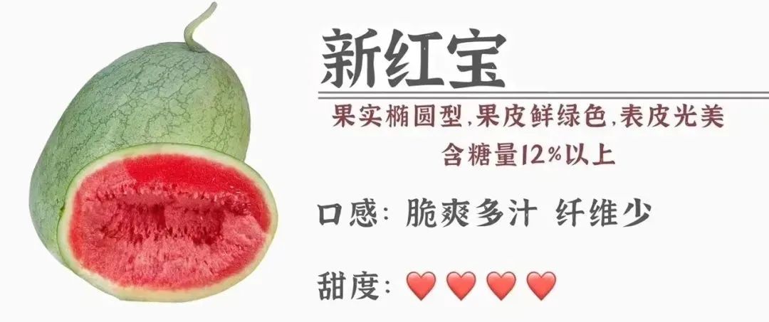三伏天吃瓜群众,三伏天如何做一个合格的吃瓜群众