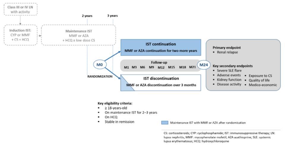 狼疮性肾炎患者维持免疫抑制治疗的最佳持续时间是多久？