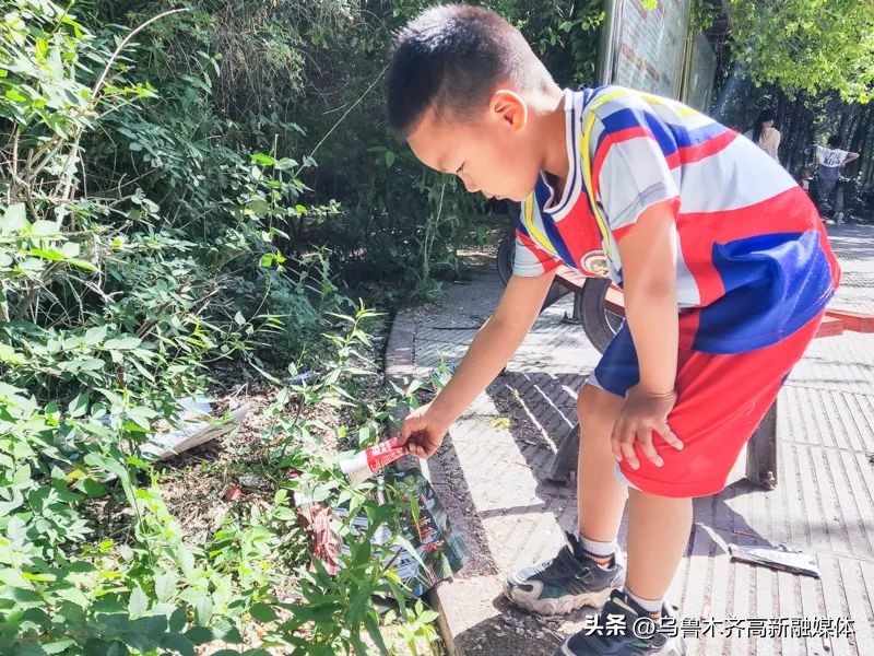 世界环境日聚焦绿色校园节能环保,世界环境日文明实践在行动