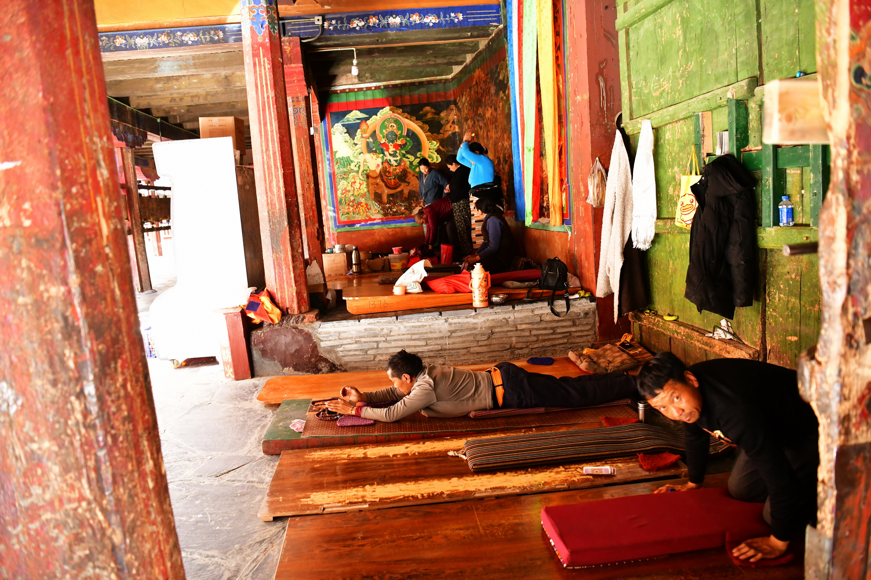 我的林芝一日游攻略,林芝看桃花西藏之旅