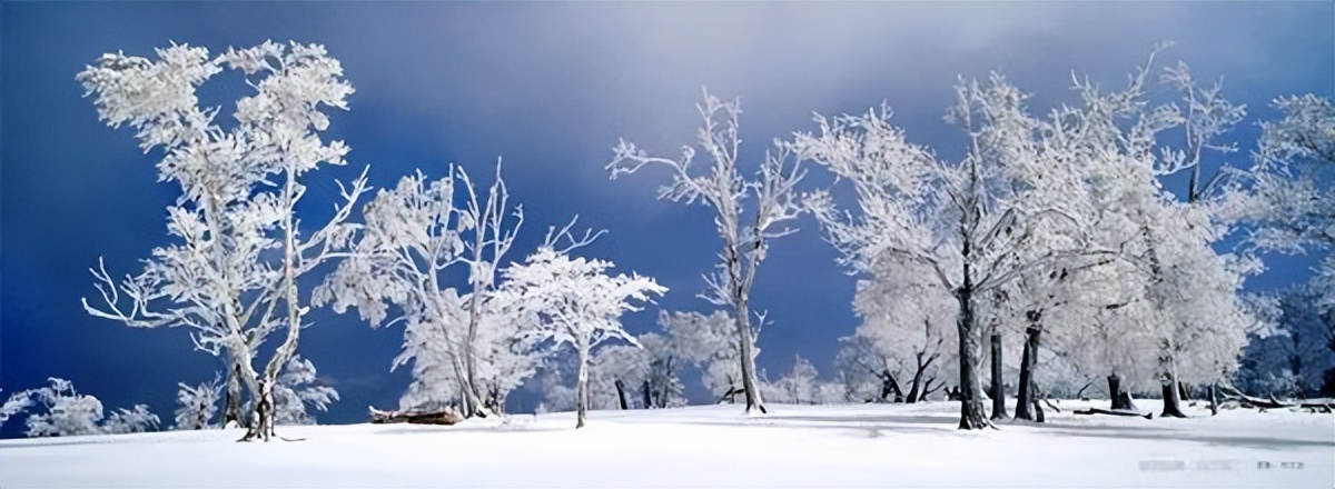 吉林省乡村旅游精品村推荐,吉林省第三批乡村旅游重点村