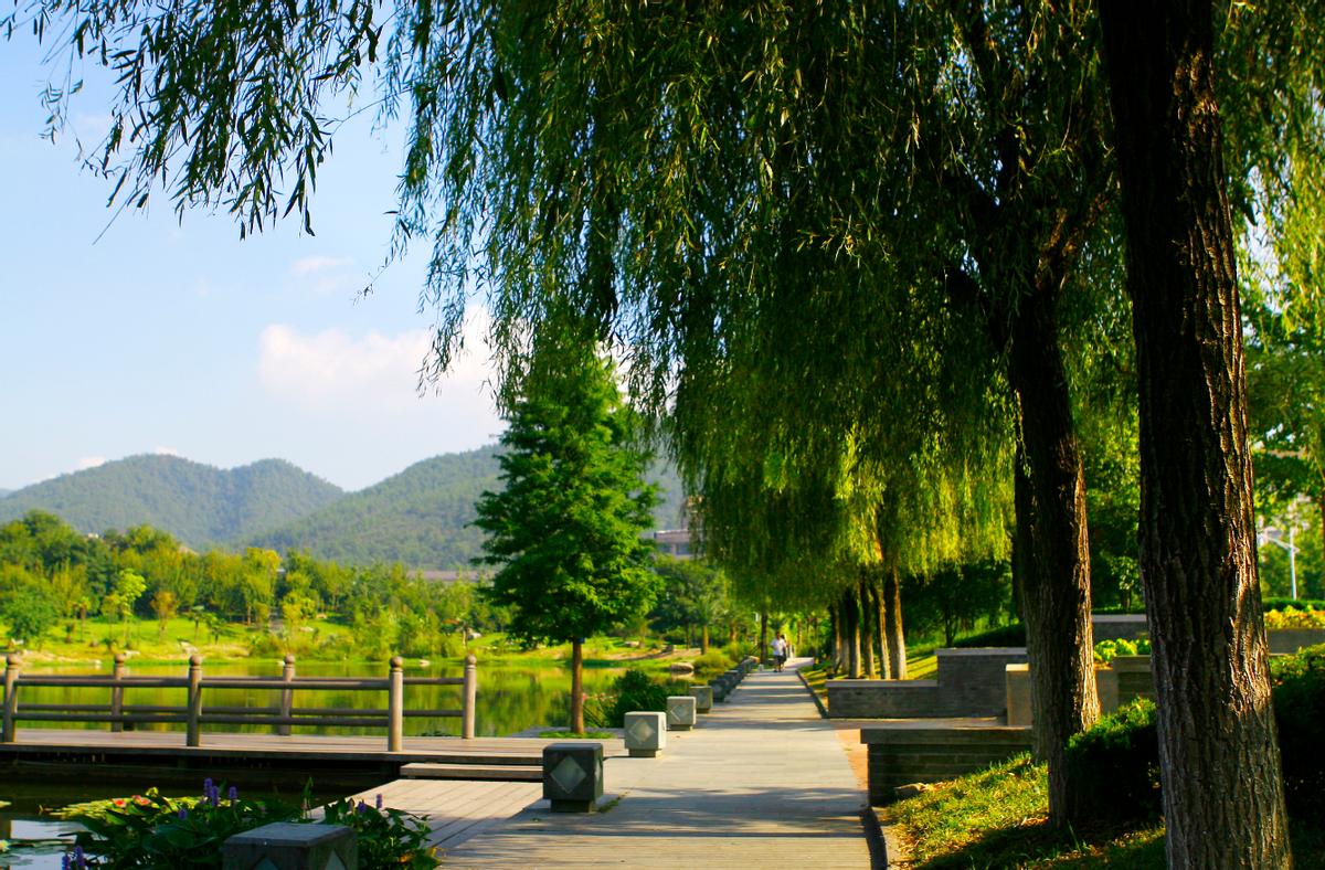 浙江农林大学学校风光,浙江农林大学风景园林难学吗