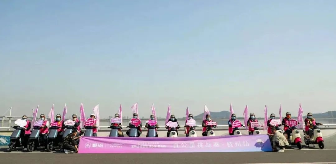 爱玛2020款锂电电动车,新国标爱玛锂电电动车最新款