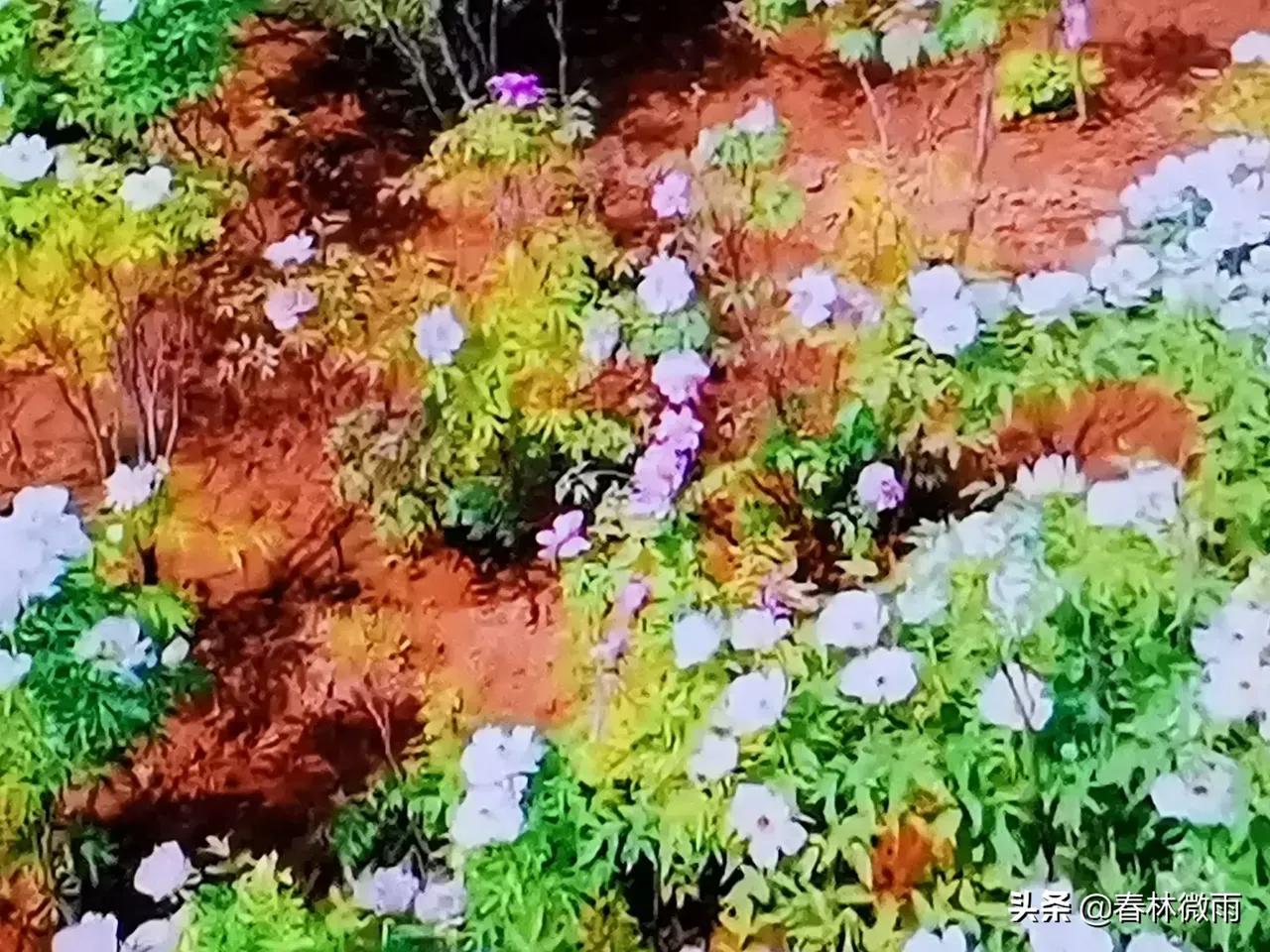 父母要警惕自己对儿女的忌讳,父母知道对子女不好吗