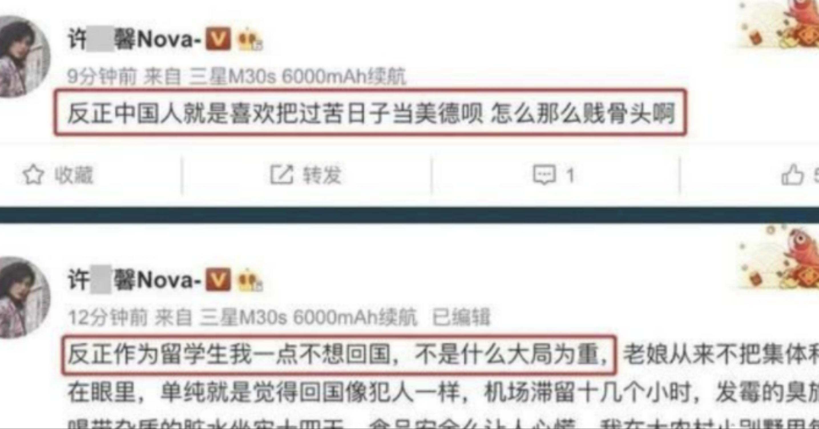 多次“诋毁”祖国，3年后又高调回国找工作的许可馨,结局让人解气