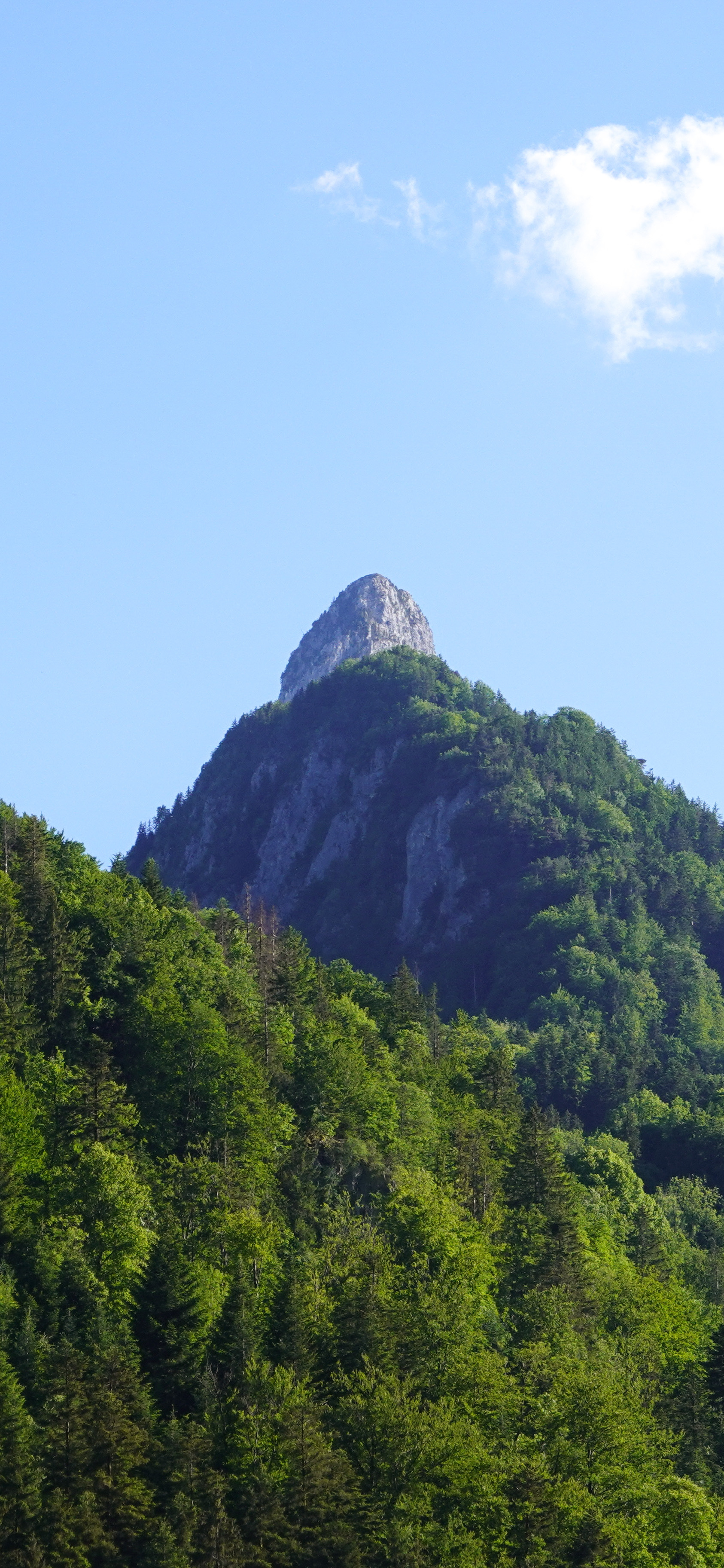 iphone13promax壁纸下载,iphone13promax壁纸动态