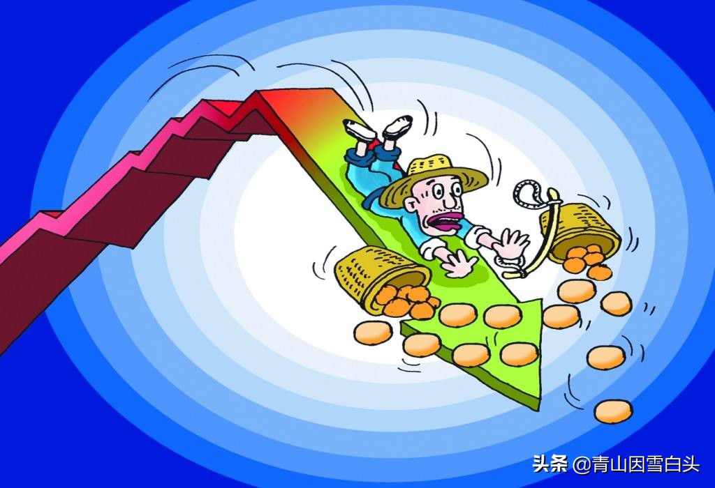 农村有哪几种树最值钱,农村种什么样的树最值钱