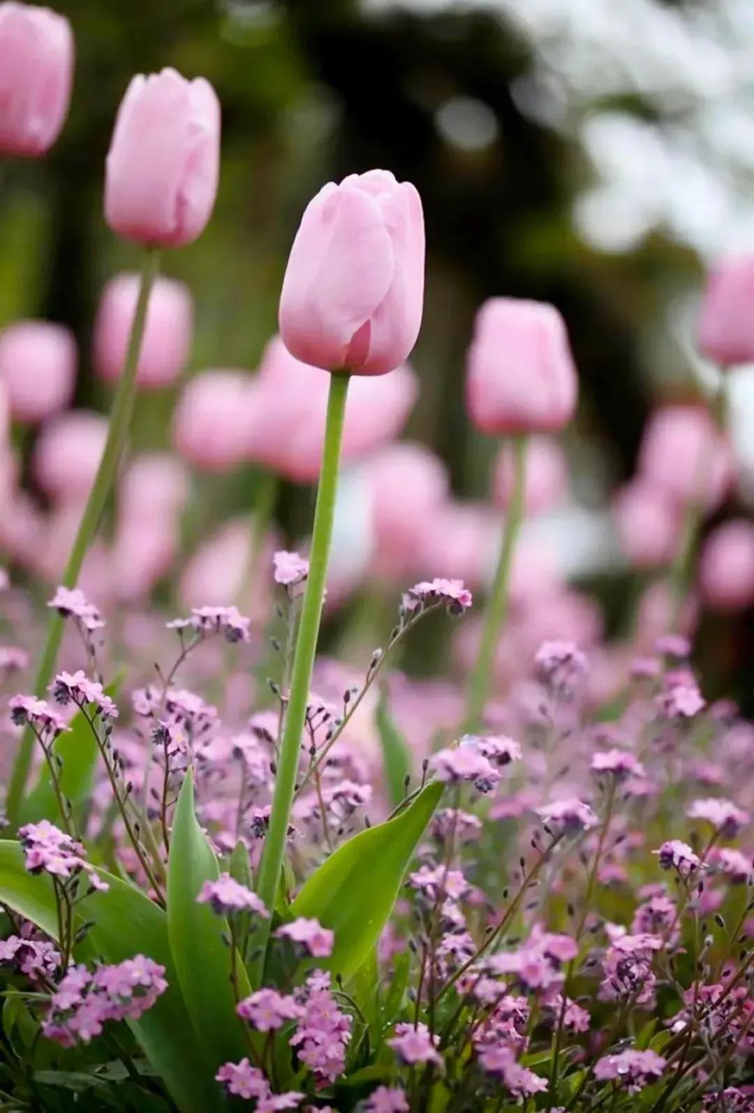 暖心走心的经典短语个性签名,暖心自带哲理的签名句子