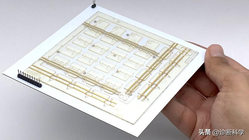 手持式PCR仪赛道火热！加州大学洛杉矶分校团队加入战局