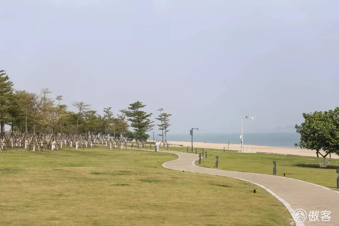 夜晚厦门美食推荐,深夜吃厦门美食