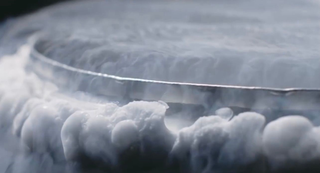 人体冷冻为什么不能解冻,人体冷冻面临的挑战