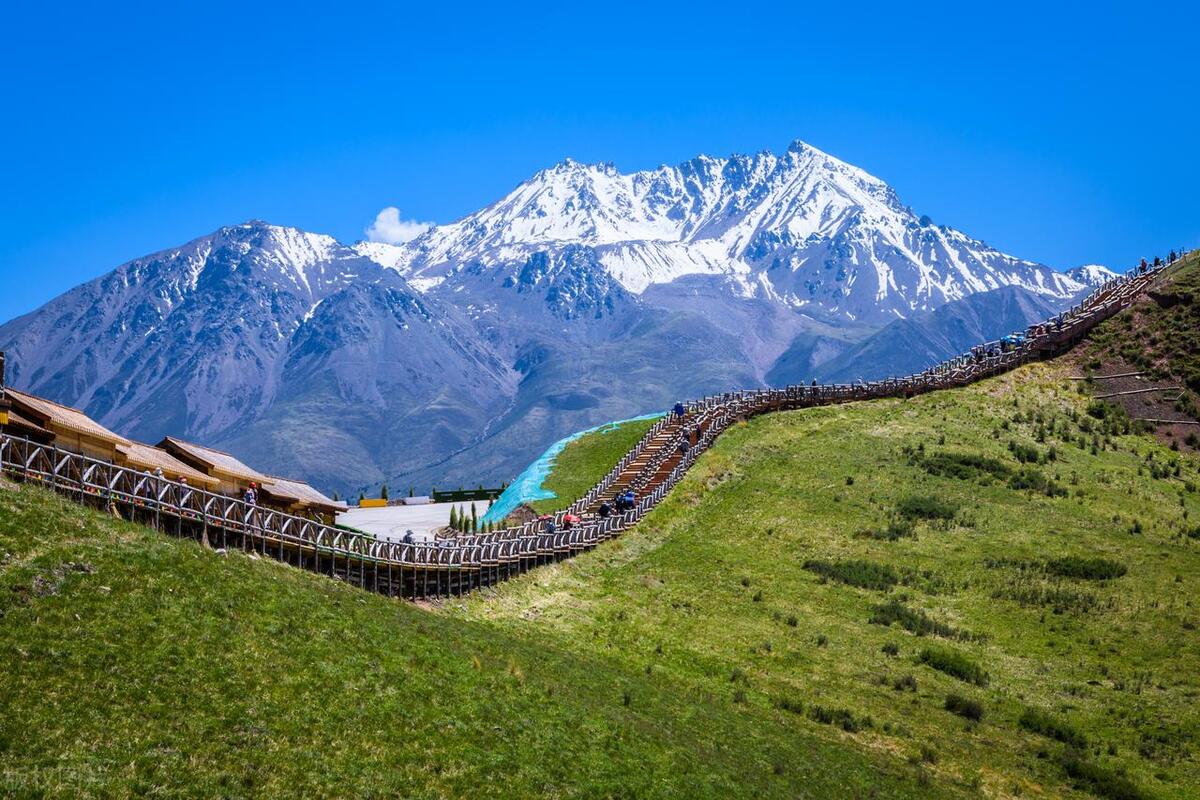 <html>
<head><title>502BadGateway</title></head>
<body>
<center><h1>502BadGateway</h1></center>
<hr><center>nginx</center>
</body>
</html>
<!--apaddingtodisableMSIEandChromefriendlyerrorpage-->
<!--apaddingtodisableMSIEandChromefriendlyerrorpage-->
<!--apaddingtodisableMSIEandChromefriendlyerrorpage-->
<!--apaddingtodisableMSIEandChromefriendlyerrorpage-->
<!--apaddingtodisableMSIEandChromefriendlyerrorpage-->
<!--apaddingtodisableMSIEandChromefriendlyerrorpage-->
