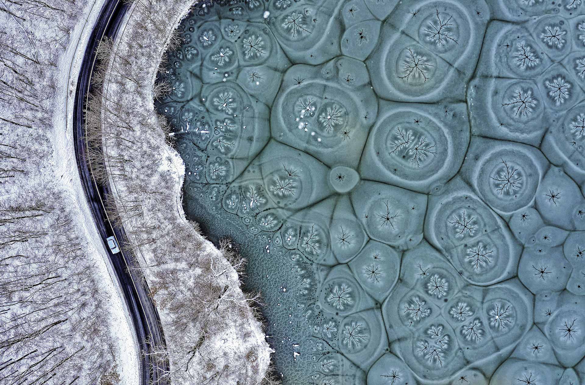 自然就是美,自然就是美歌曲