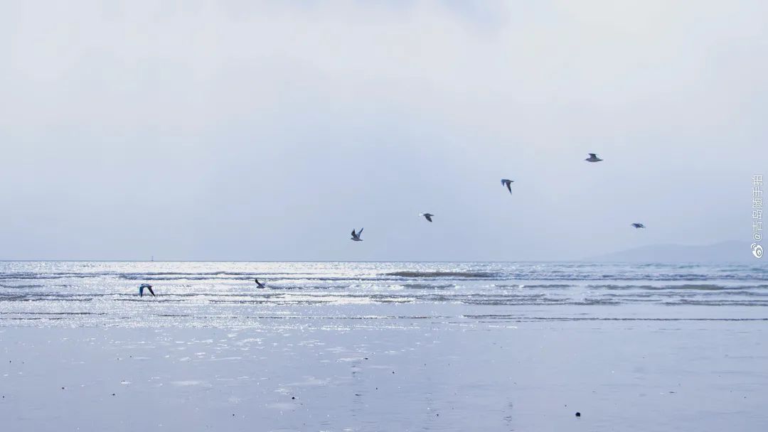 四月来青岛不可错过的打卡地,青岛绝美打卡点